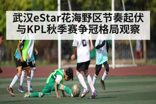 武汉eStar花海野区节奏起伏与KPL秋季赛争冠格局观察